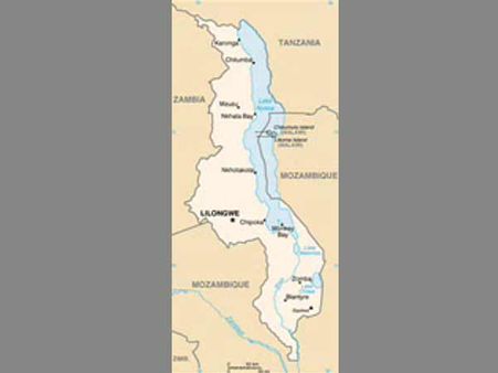 Malawi president declares national disaster after drought