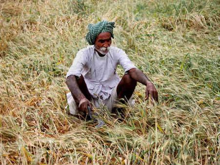 Punjab bans crop harvesting during night