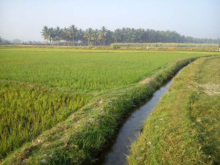 Farmers revive barter of labour to counter demonetisation woes