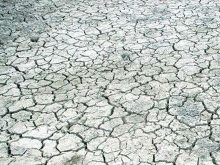 Bengal assessing situation before declaring drought