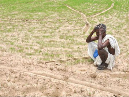 Combining traditional wisdom with scientific methods can tackle drought
