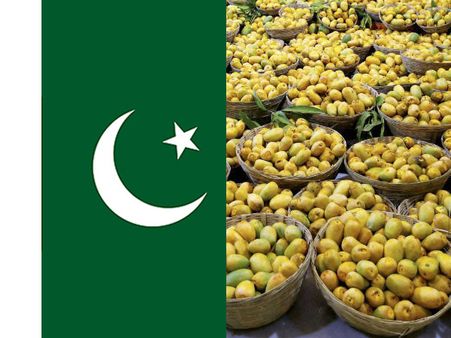 Pakistan targeting $75 mn from export of 100,000 tons mangoes