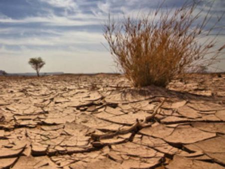 In June, 7 drought-hit states short of water