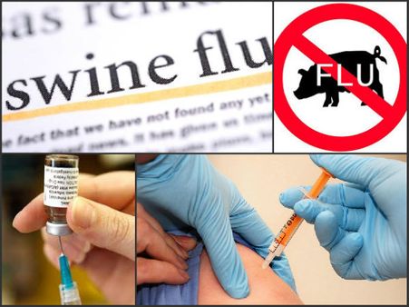 764 swine flu deaths in Brazil this year