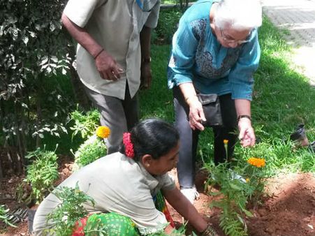 Blueair to plant 1 mn trees in India