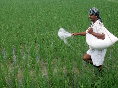 How to double farmers’ income? Adopt 'zero budget natural farming', suggests NITI Aayog