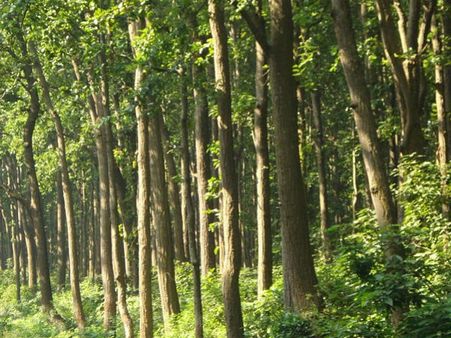 More green roads soon in the country, thanks to Cold Mix technology