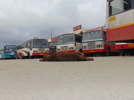 Mahadayi verdict: Bandh successful in Bengaluru and North Karnataka