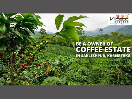 Own your coffee plantation at the peaceful 'Vibez' estate