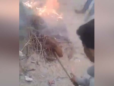 Hyderabad shame: 3 puppies burnt alive; video sparks outrage