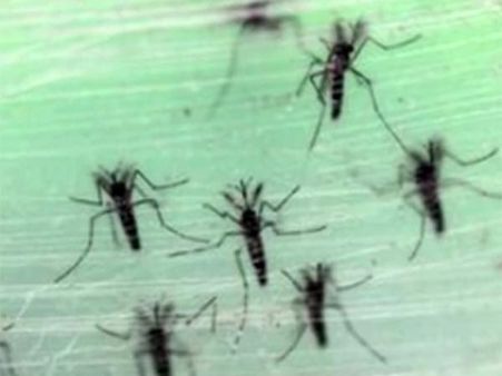 Peru declares 90-day Zika emergency across half of country