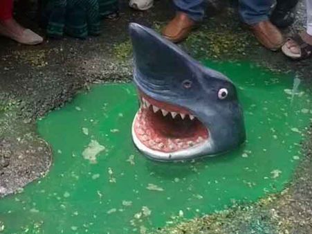 When a ‘Baby Shark’ was spotted on Delhi’s road