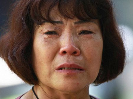 MH370 fell very fast before crashing into Indian Ocean: Oz defence scientists