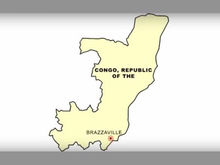 World's largest gorillas 'one step from going extinct'