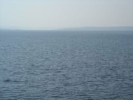 You can get fuel from water, says Griffith Univeristy researcher