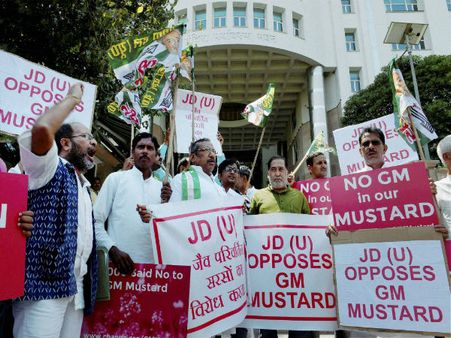 Unscientific criticism has cost farmers a fortune: GM mustard developer