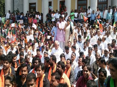 Kodagu shuts down over Tipu Jayanthi, protests across State