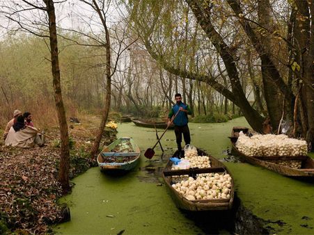 In Pics: Do these pics suggest peace has returned to the Valley?