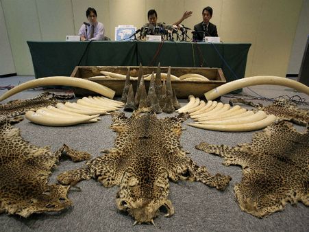 Hong Kong to ban local ivory trade by 2021
