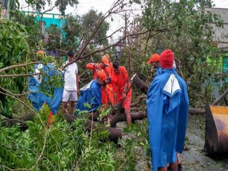 Day after Vardah: Chennai feels like a forest