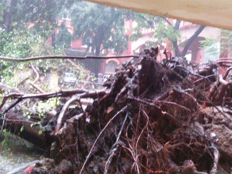 In pics- Cyclone Vardah takes a toll on Tamil Nadu, Puducherry and Andhra Pradesh