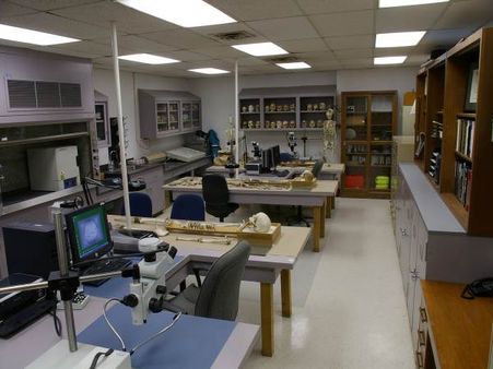 Biggest internal security scheme gets rolling: Here is what the govt is spending