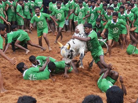 TN's Jallikattu bill challenged in SC