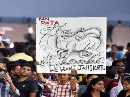 Jallikattu ordinance will be valid for six weeks