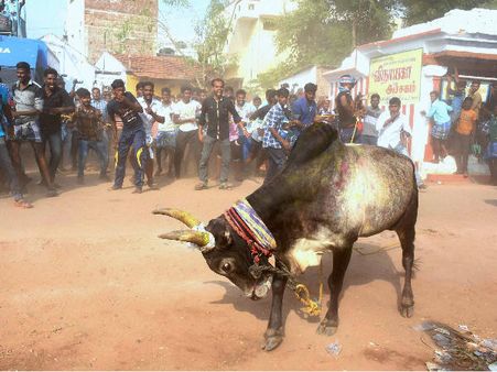 Tamil Nadu: Two dead, 28 injured in jallikattu