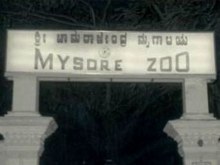 Avian flu scare: Mysuru zoo closed till Feb