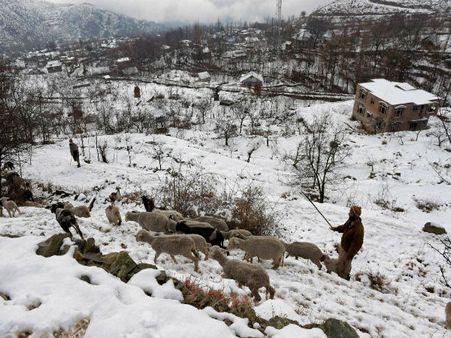 Jammu-Srinagar highway opens partially