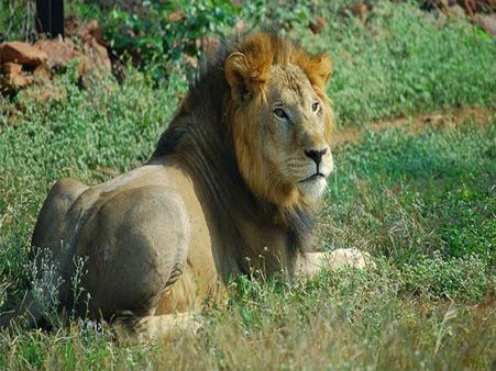 Tourism: Know the heart of India, Madhya Pradesh, in 'small packages'