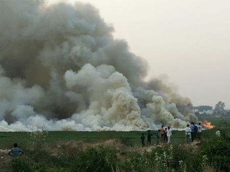 Watch video: Bellandur Lake on fire again, no lessons learnt