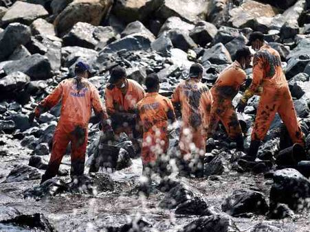 Chennai oil spill: NGT seeks report in 24 hours