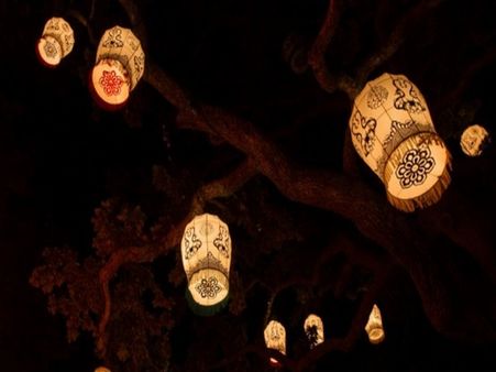 Lantern festival leaves New Zealanders dazzled