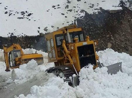 Cold conditions in Himachal revive after fresh snowfall