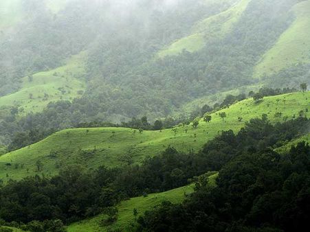 Over 50,000 sq km area of Western Ghats identified as ecologically sensitive