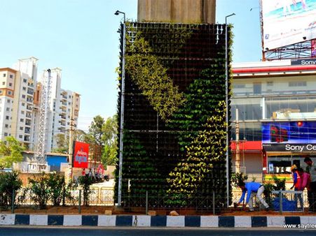 Check out Bengaluru's vertical gardens