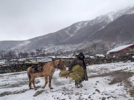 Fresh snow in mountains, rains lash plains of J&K