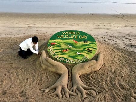 In Pics: World Wildlife Day celebrated across the world
