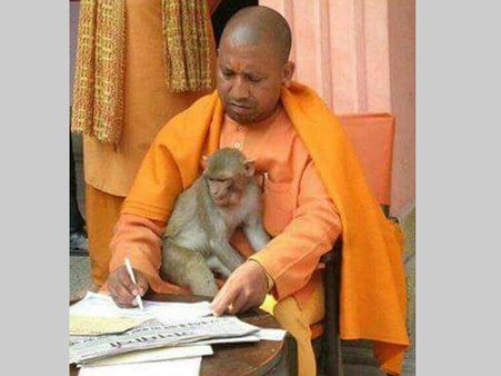 Meet Yogi Adityanath, the animal lover