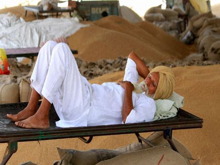 Govt hikes customs duty on wheat to 30% to curb cheaper imports