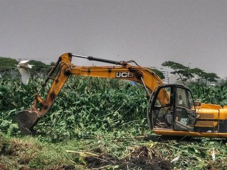 Clean-up process begins at Bellandur lake, thanks to NGT