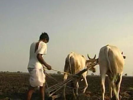 Unable to pay debt, farmer ends life in Maharashtra