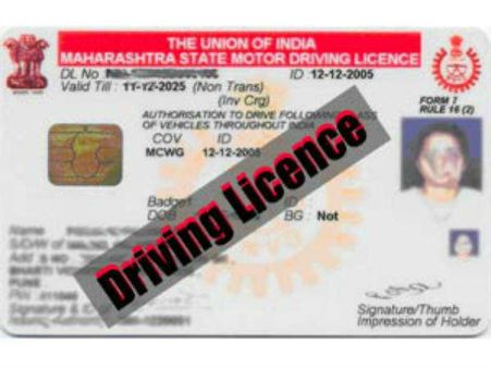Now get your learning driving licence online thanks to new MV act
