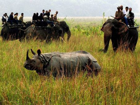 Assam: Rhino poachers shot dead in Orang national park