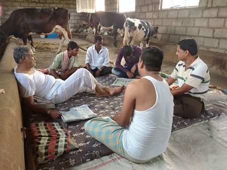 This Karnataka BJP lawmaker ditched a 5-star hotel to live in a cowshed