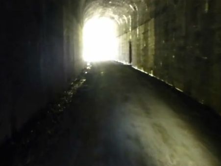 BSF unearths tunnel used to smuggle cattle to Bangladesh