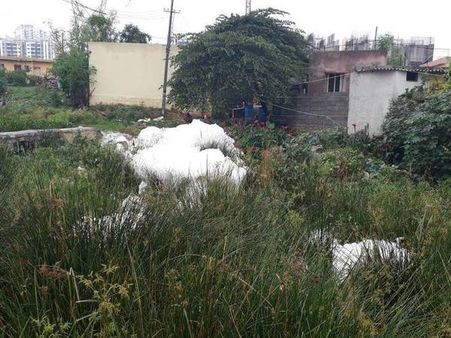 Now, Bengaluru's Subramanyapura lake foams