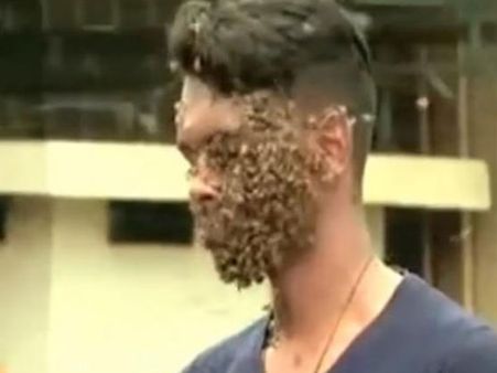 See it to believe it: A young Kerala man has 60,000 bees on his face